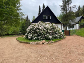 Ferienanlage Geisingblick Haus 6